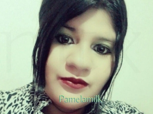 Pamelasuite