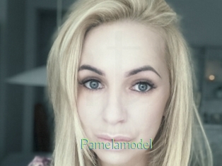Pamelamodel