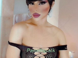 Paytonbigcock