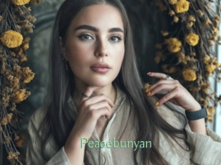 Peacebunyan