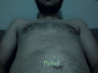 Pedwil