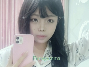 Penegemma