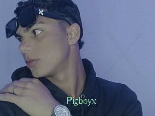 Pigboyx