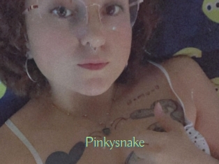 Pinkysnake