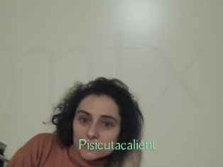Pisicutacalient