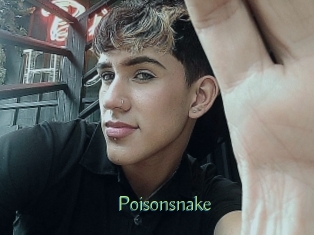 Poisonsnake