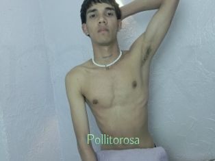 Pollitorosa