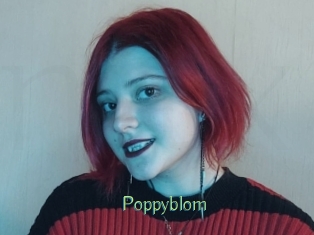 Poppyblom