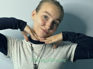 Portiagallamore