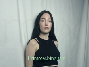 Primrosebingham