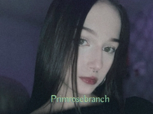 Primrosebranch