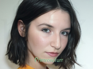Primrosefurr