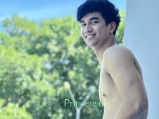 princereid Motion X