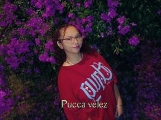 Pucca_velez