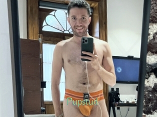 Pupstud