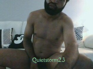 Quietstorm23