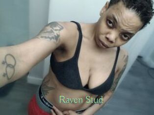 Raven_Stud