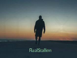 RealStallion