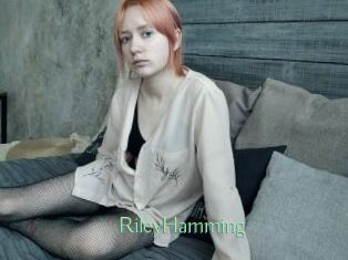 RileyHamming