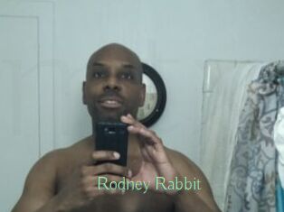 Rodney_Rabbit