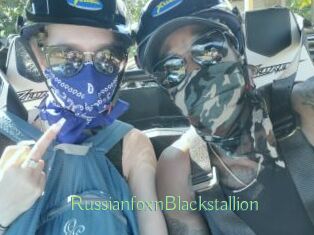 RussianfoxnBlackstallion