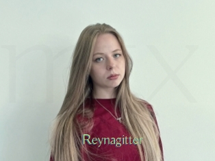 Reynagitter