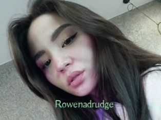 rowenadrudge Motion X