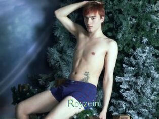 Royzein
