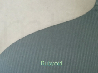 Rubyraid