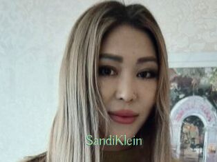 SandiKlein