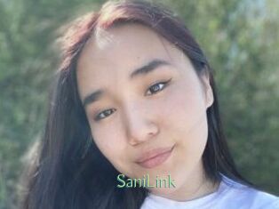 SaniLink