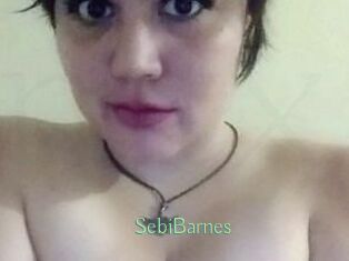 Sebi_Barnes
