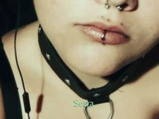 Setra
