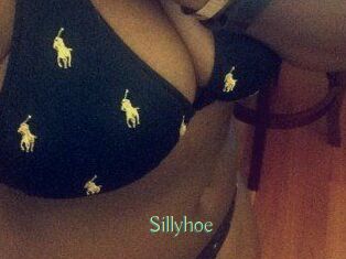 Sillyhoe