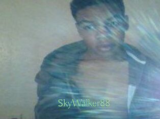 SkyWalker88