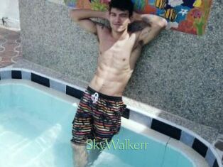 SkyWalkerr