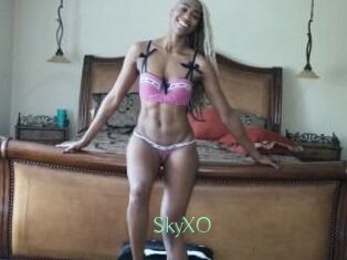 SkyXO
