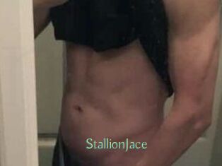 StallionJace