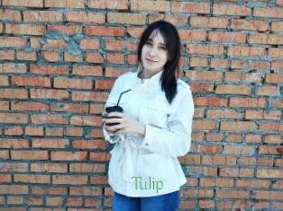 Tulip