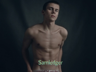 Samledger