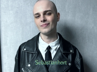 sebastianhort Motion X