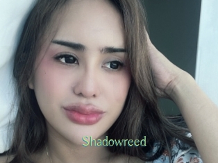 Shadowreed