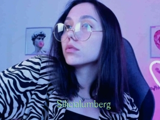 Silicialumberg