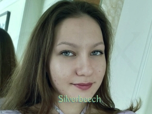 Silverbeech
