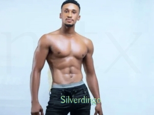 Silverdingo