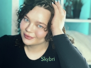 Skybri