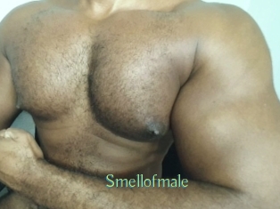 smellofmale Motion X