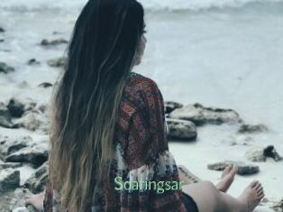 Soaringsar