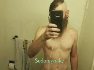 Sodomymike