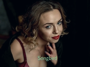 songbird Motion X